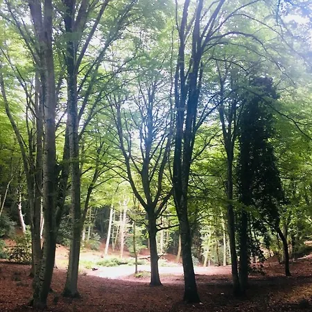 Casa Michela בית נופש