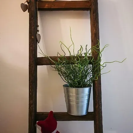 בית נופש Casa Michela ויקו דל גרגאנו