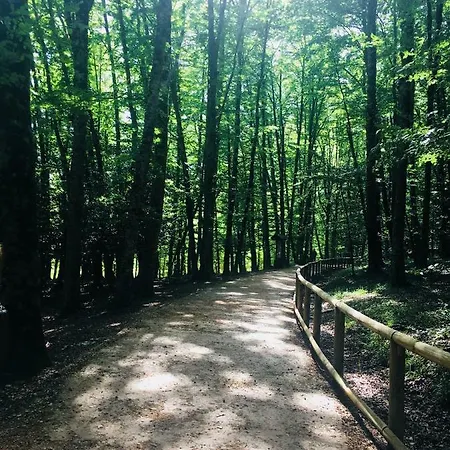 Casa Michela Tatil Evi Vico Del Gargano