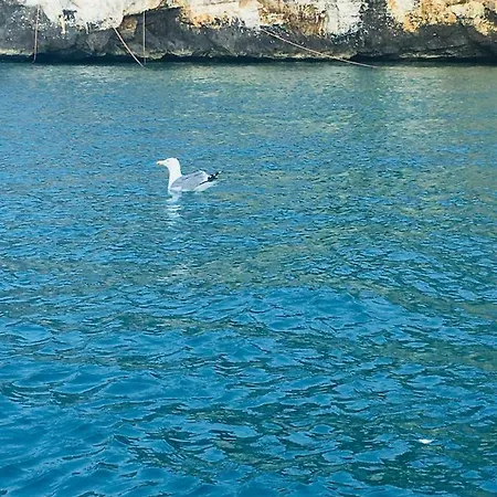 Casa Michela Vico Del Gargano
